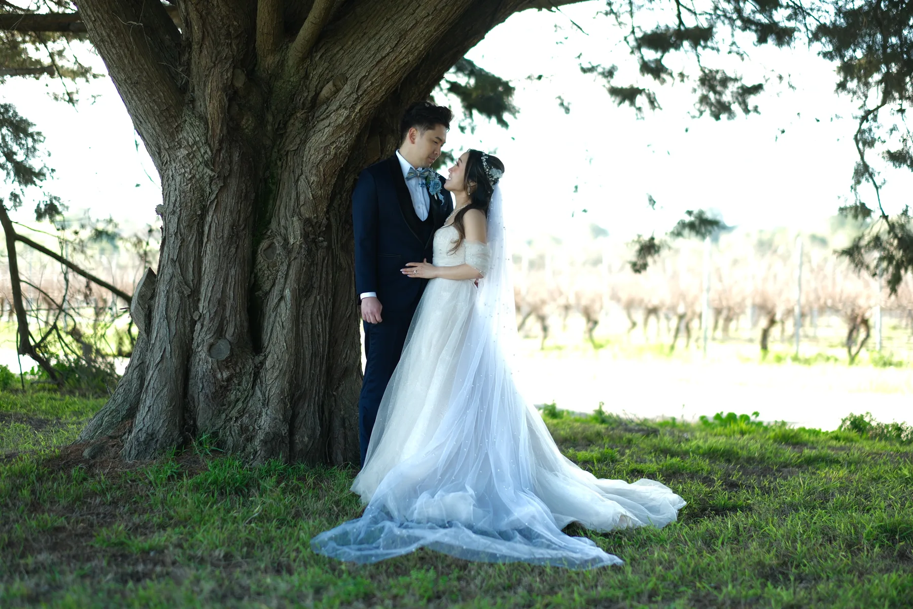 Fine-art wedding portrait of couple embracing under a large tree
